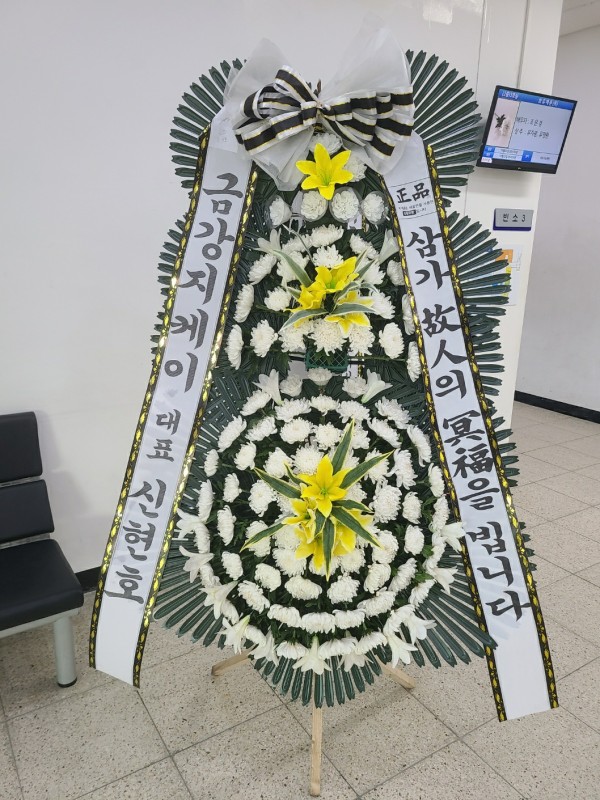 업로드 이미지