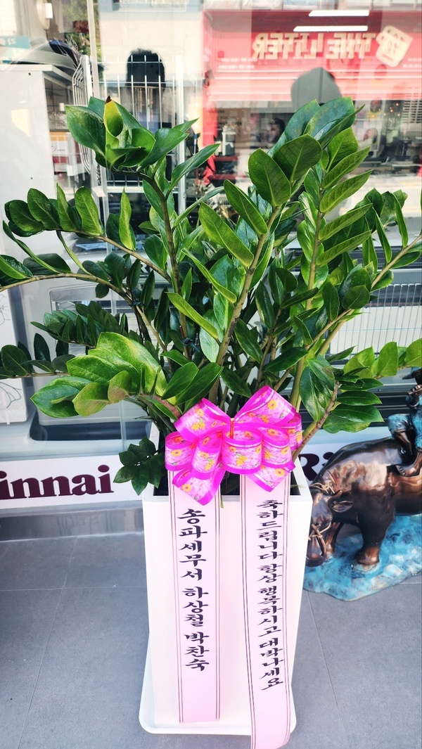 업로드 이미지