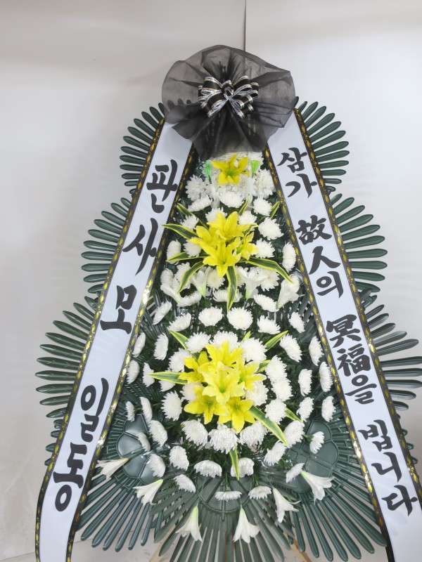 업로드 이미지