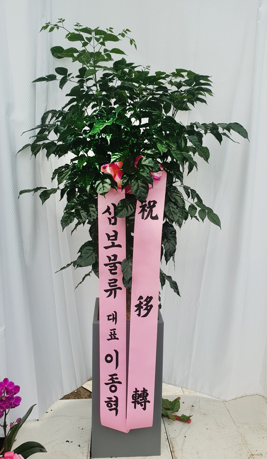 업로드 이미지