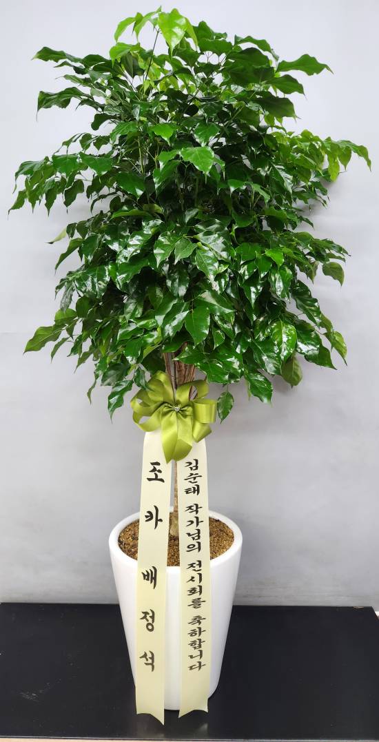 업로드 이미지