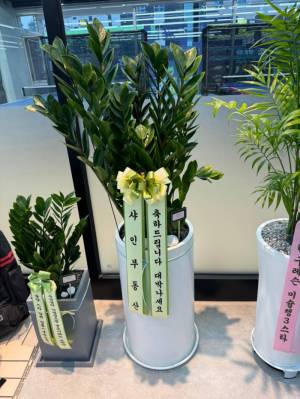 업로드 이미지