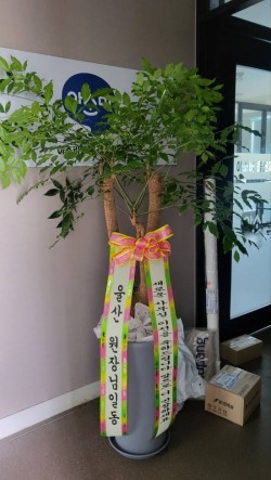 배송사진