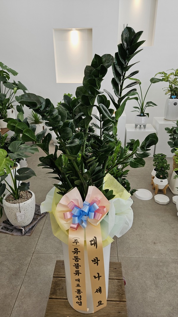 업로드 이미지