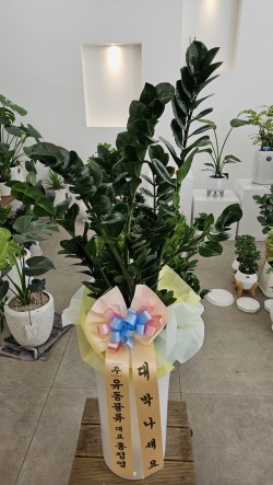 배송사진