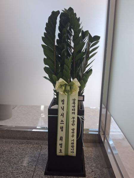 업로드 이미지
