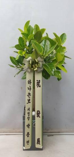 업로드 이미지