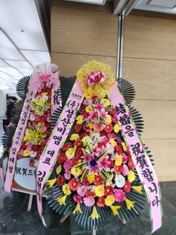 배송사진