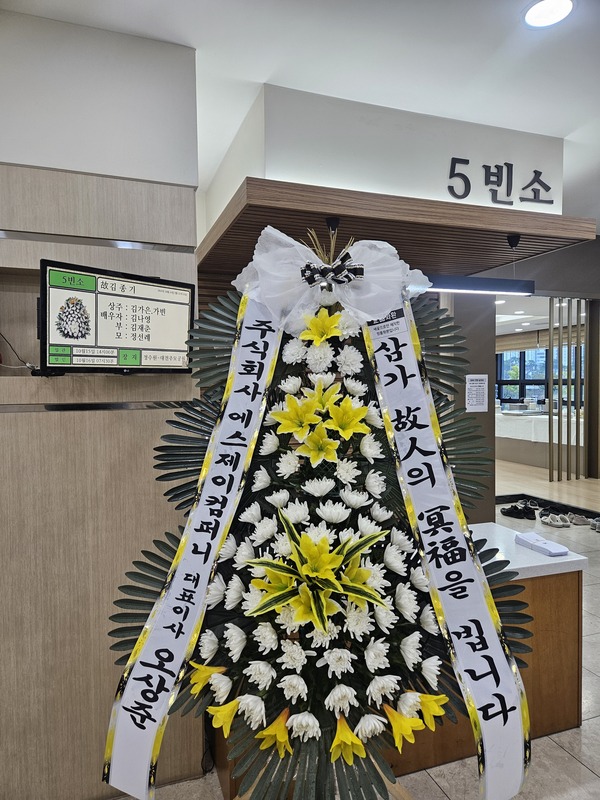 업로드 이미지