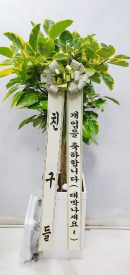 업로드 이미지