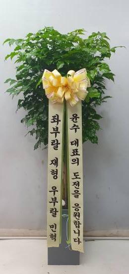 업로드 이미지