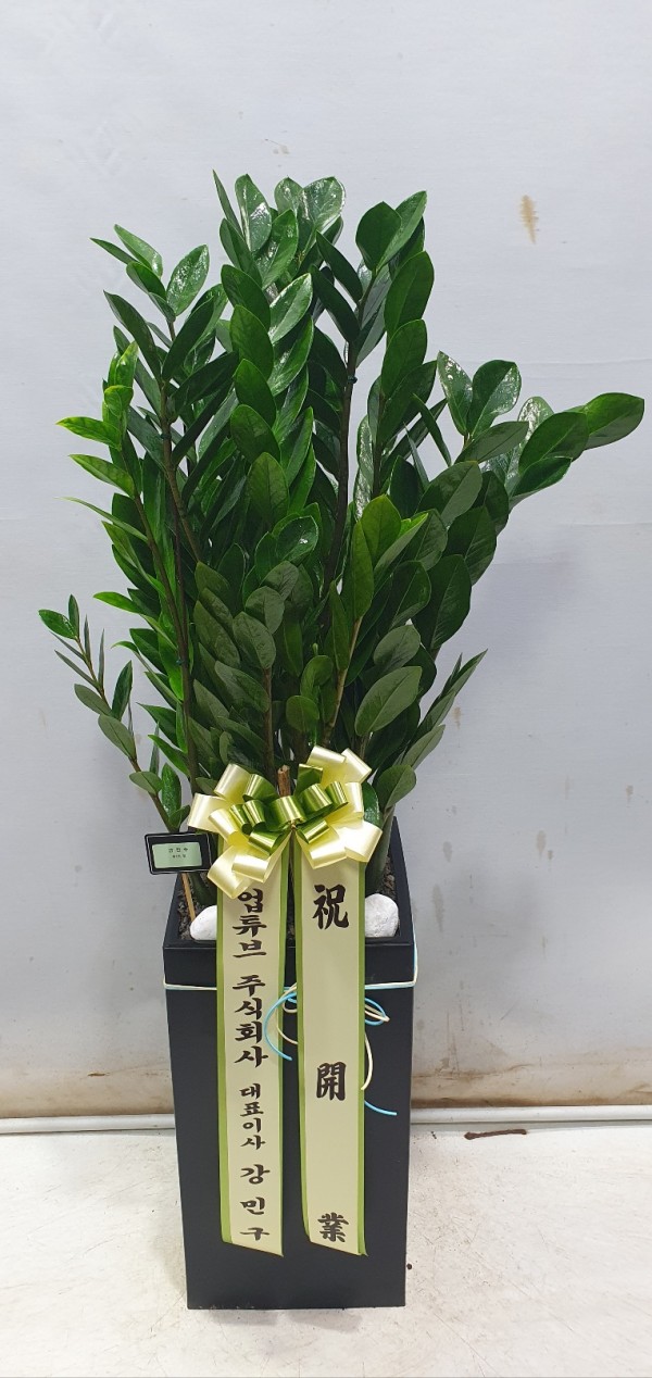 업로드 이미지