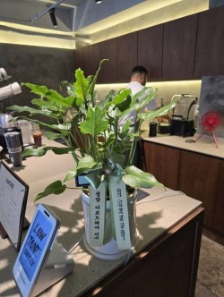 배송사진