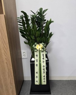 배송사진