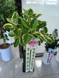 배송사진
