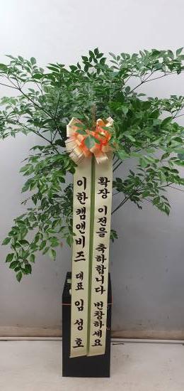 업로드 이미지
