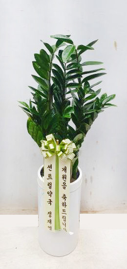 업로드 이미지