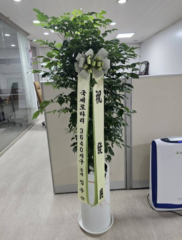 업로드 이미지
