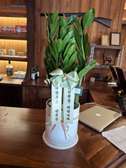 배송사진