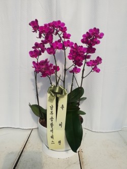 배송사진