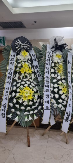 배송사진