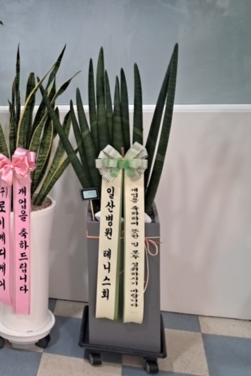 업로드 이미지