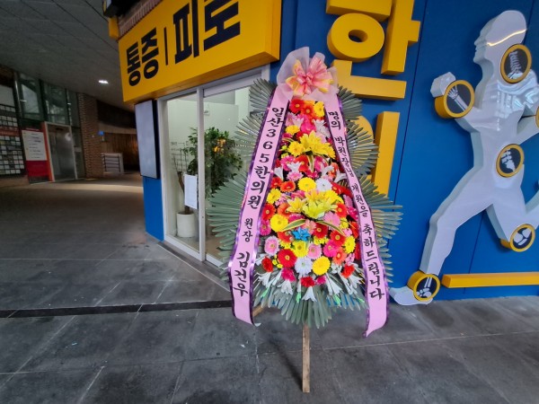 업로드 이미지