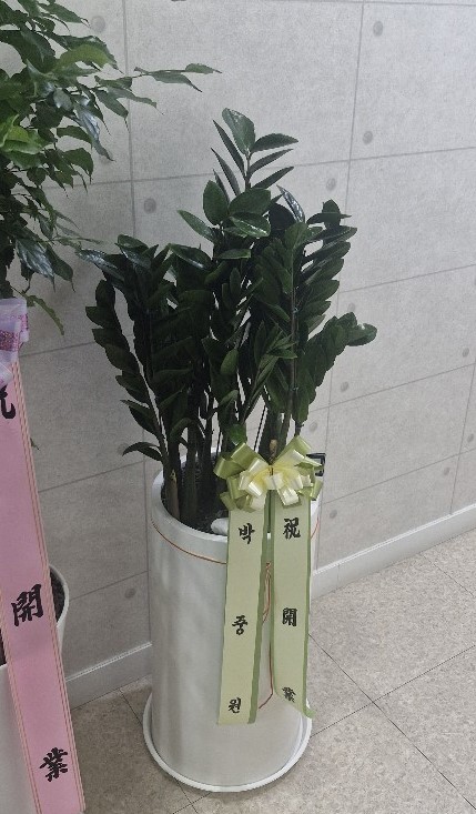 업로드 이미지