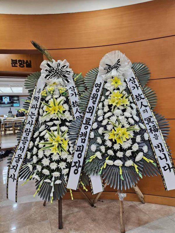 업로드 이미지