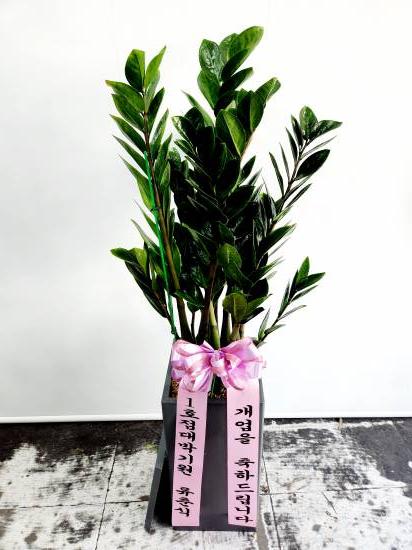 업로드 이미지