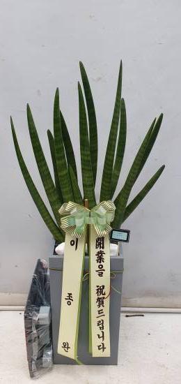 업로드 이미지