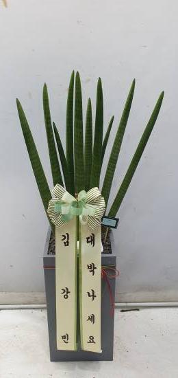 업로드 이미지