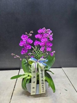배송사진
