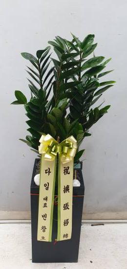 업로드 이미지