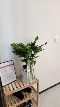 배송사진