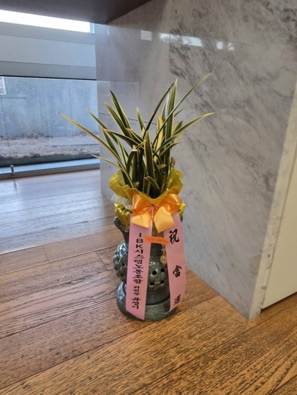 업로드 이미지