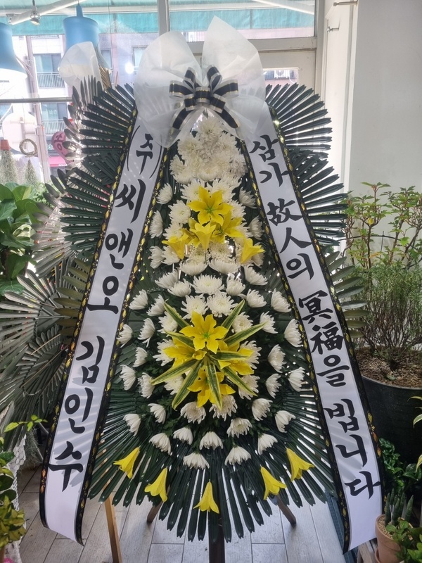 업로드 이미지