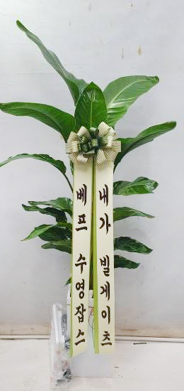 업로드 이미지