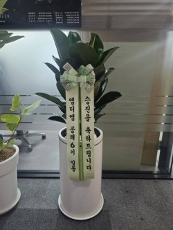 배송사진