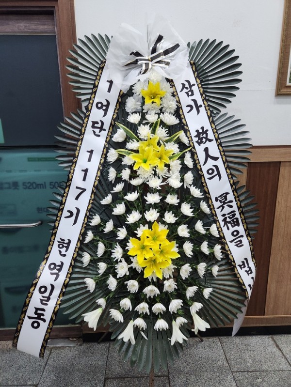 업로드 이미지