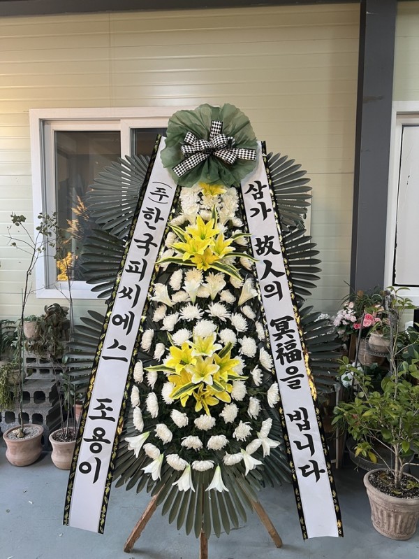 업로드 이미지