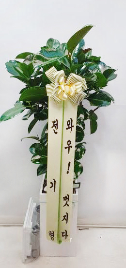업로드 이미지