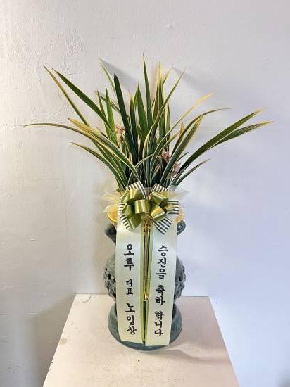 업로드 이미지