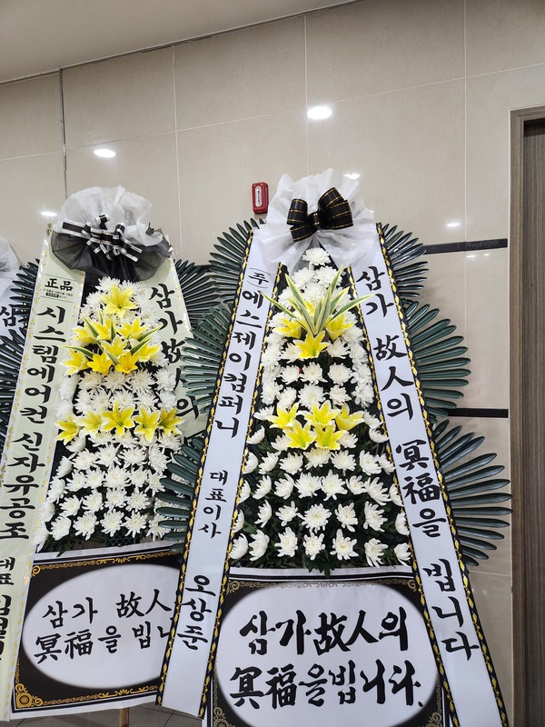 업로드 이미지