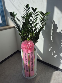 배송사진