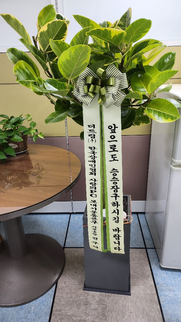 업로드 이미지