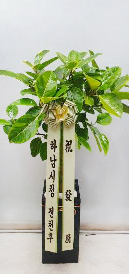 업로드 이미지
