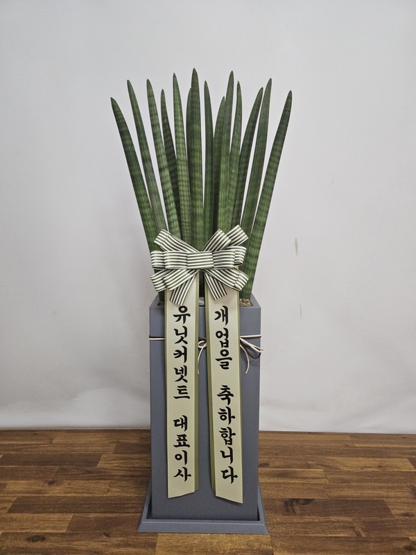 업로드 이미지