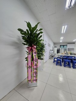배송사진