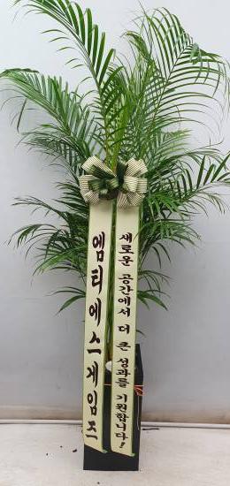 업로드 이미지